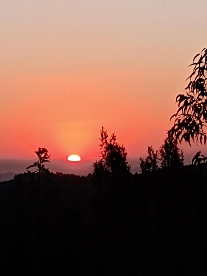 מונטה ורדה Casa Recanto Beija Flor, Monte Verde מראה חיצוני תמונה
